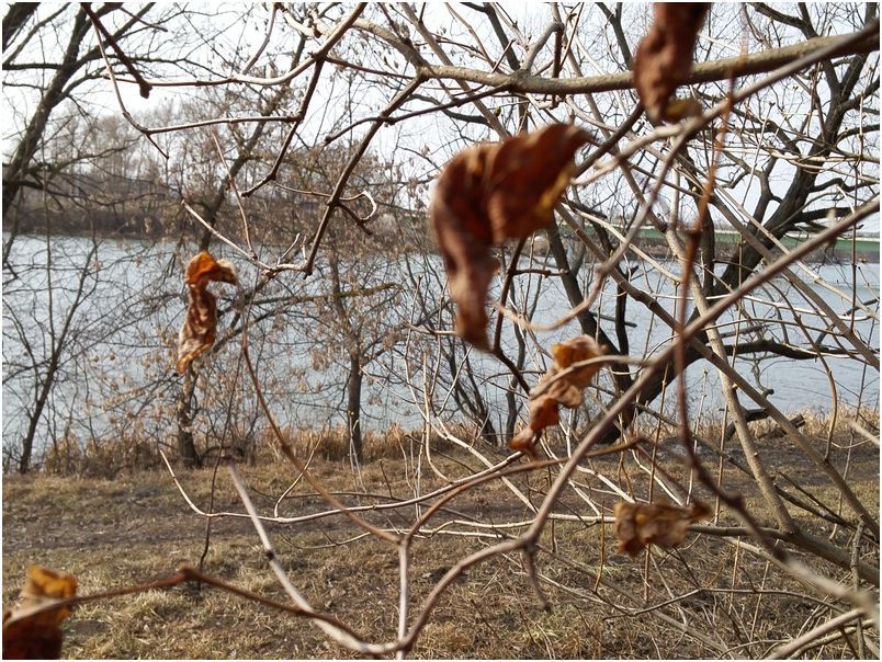 Обзор изогнутого смартфона LG G Flex 2: чтобы удивлять (обзор, изогнутый, смартфона, flex, удивлять) Обзор изогнутого смартфона LG G Flex 2: чтобы удивлять