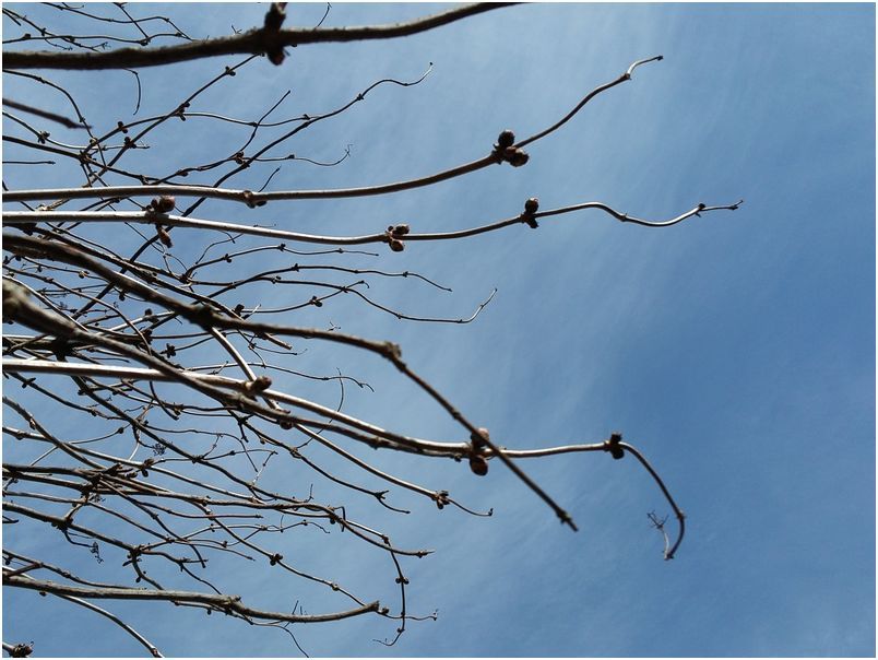 Обзор изогнутого смартфона LG G Flex 2: чтобы удивлять (обзор, изогнутый, смартфона, flex, удивлять) Обзор изогнутого смартфона LG G Flex 2: чтобы удивлять