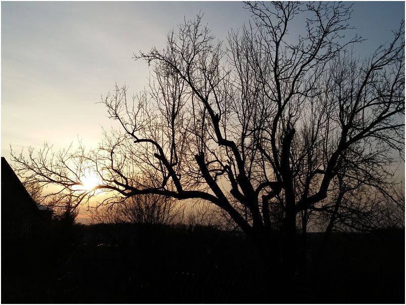 Обзор изогнутого смартфона LG G Flex 2: чтобы удивлять (обзор, изогнутый, смартфона, flex, удивлять) Обзор изогнутого смартфона LG G Flex 2: чтобы удивлять