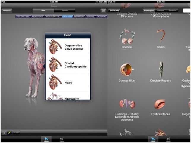 Программы люкс. Самые дорогие приложения для iPhone и iPad