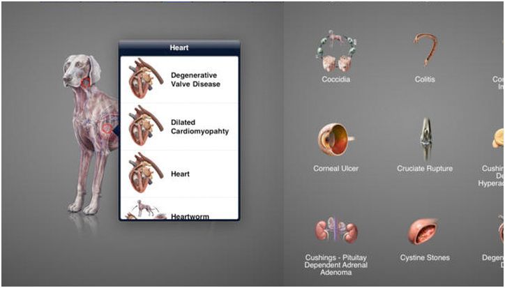 Программы люкс. Самые дорогие приложения для iPhone и iPad