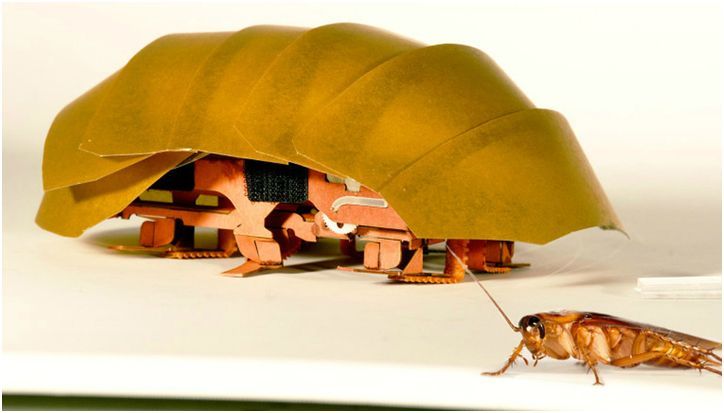 Гаджеты за неделю: от роботаракана до дрона-следопыта (гаджеты, неделя, роботаракана, дрона-следопыта, Philips SHB9250, Xperia Compact) Гаджеты за неделю: от роботаракана до дрона-следопыта