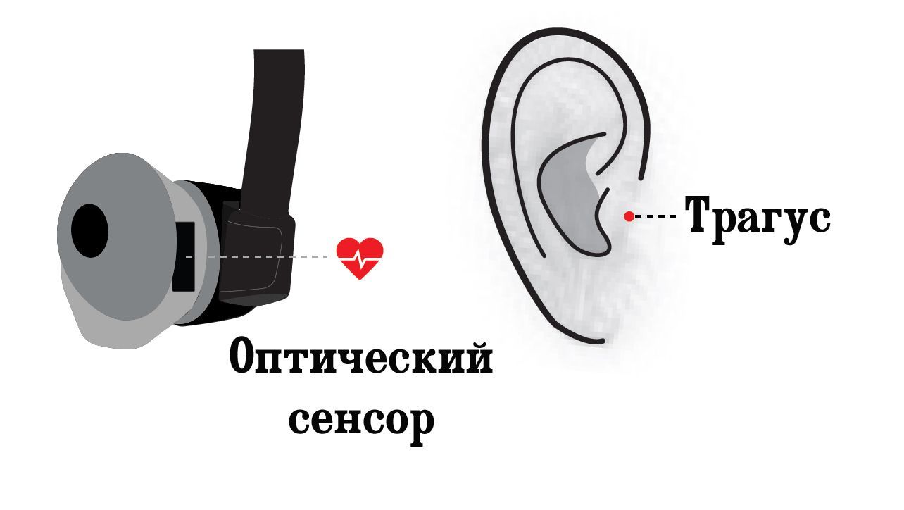 Обзор JBL Under Armour Sport Wireless Heart Rate: в ритмах сердца (обзор, armour, sport, wireless, heart, rate) Обзор JBL Under Armour Sport Wireless Heart Rate: в ритмах сердца