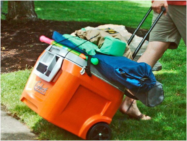 К успеху пришли. Самые финансируемые проекты "социальных инвестиций"