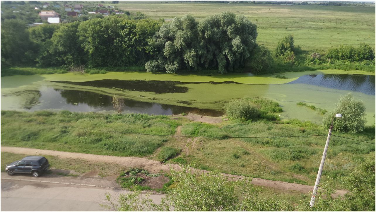 Обзор Samsung Galaxy K Zoom: камерный смартфон