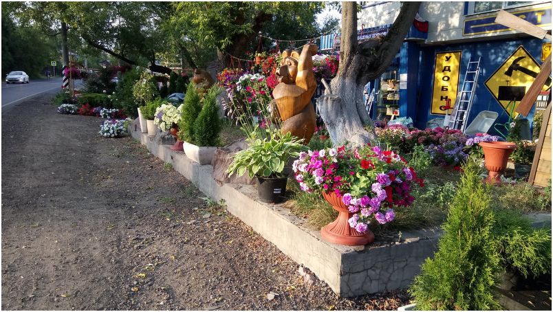 Обзор Sony Xperia XA: в узких рамках возможного