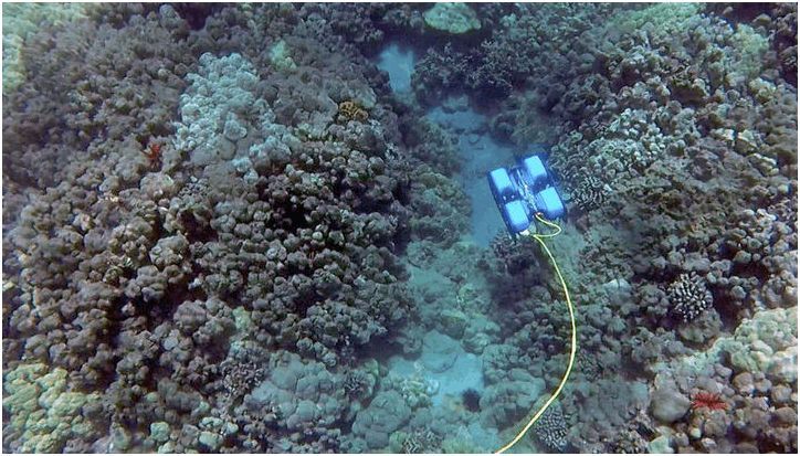 Гаджеты за неделю: от 1000-ядерного чипа до кольца-телохранителя (гаджеты, неделя, 1000-ядерного, чипа, кольцо, Energy North) Гаджеты за неделю: от 1000-ядерного чипа до кольца-телохранителя