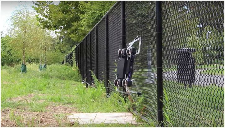 Гаджеты за неделю: от "русского iPhone" до робощенка (гаджеты, неделя, русский, iphone) Гаджеты за неделю: от "русского iPhone" до робощенка