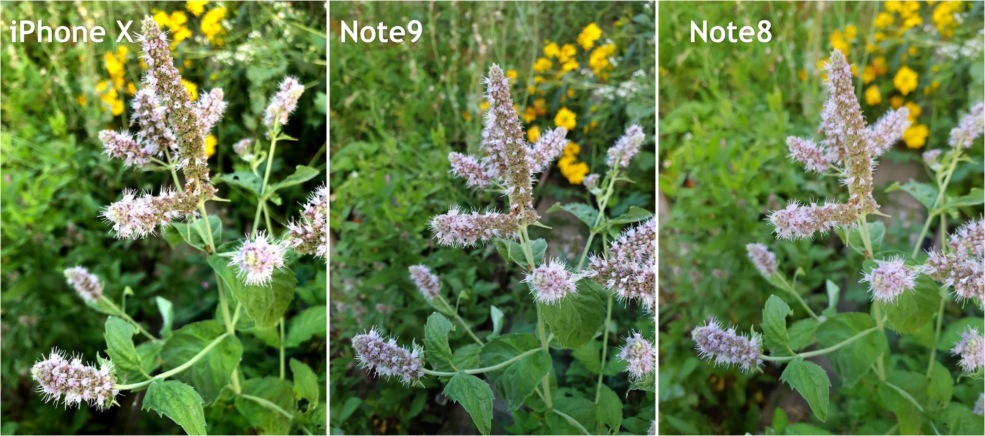 Обзор Samsung Galaxy Note9: всего, и побольше