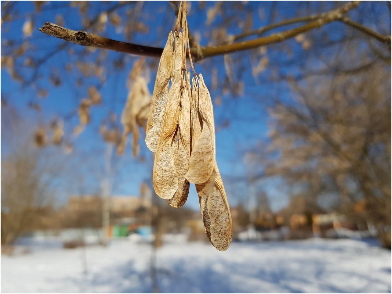 Обзор Samsung Galaxy S7: две недели c флагманом Samsung (обзор, samsung, galaxy, неделя, флагман) Обзор Samsung Galaxy S7: две недели c флагманом Samsung