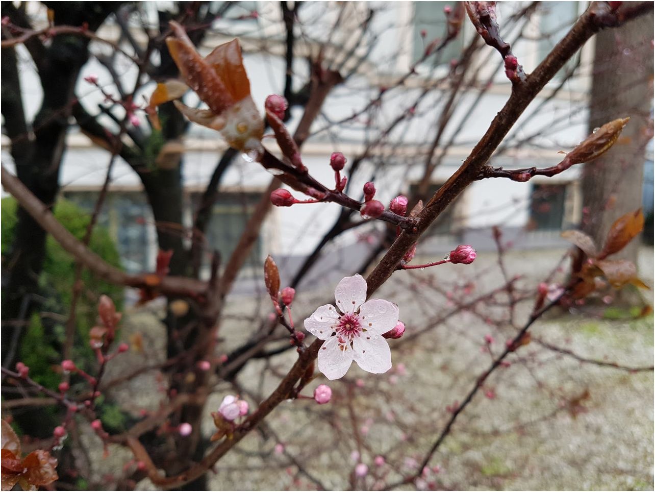 Обзор Samsung Galaxy S7: две недели c флагманом Samsung (обзор, samsung, galaxy, неделя, флагман) Обзор Samsung Galaxy S7: две недели c флагманом Samsung