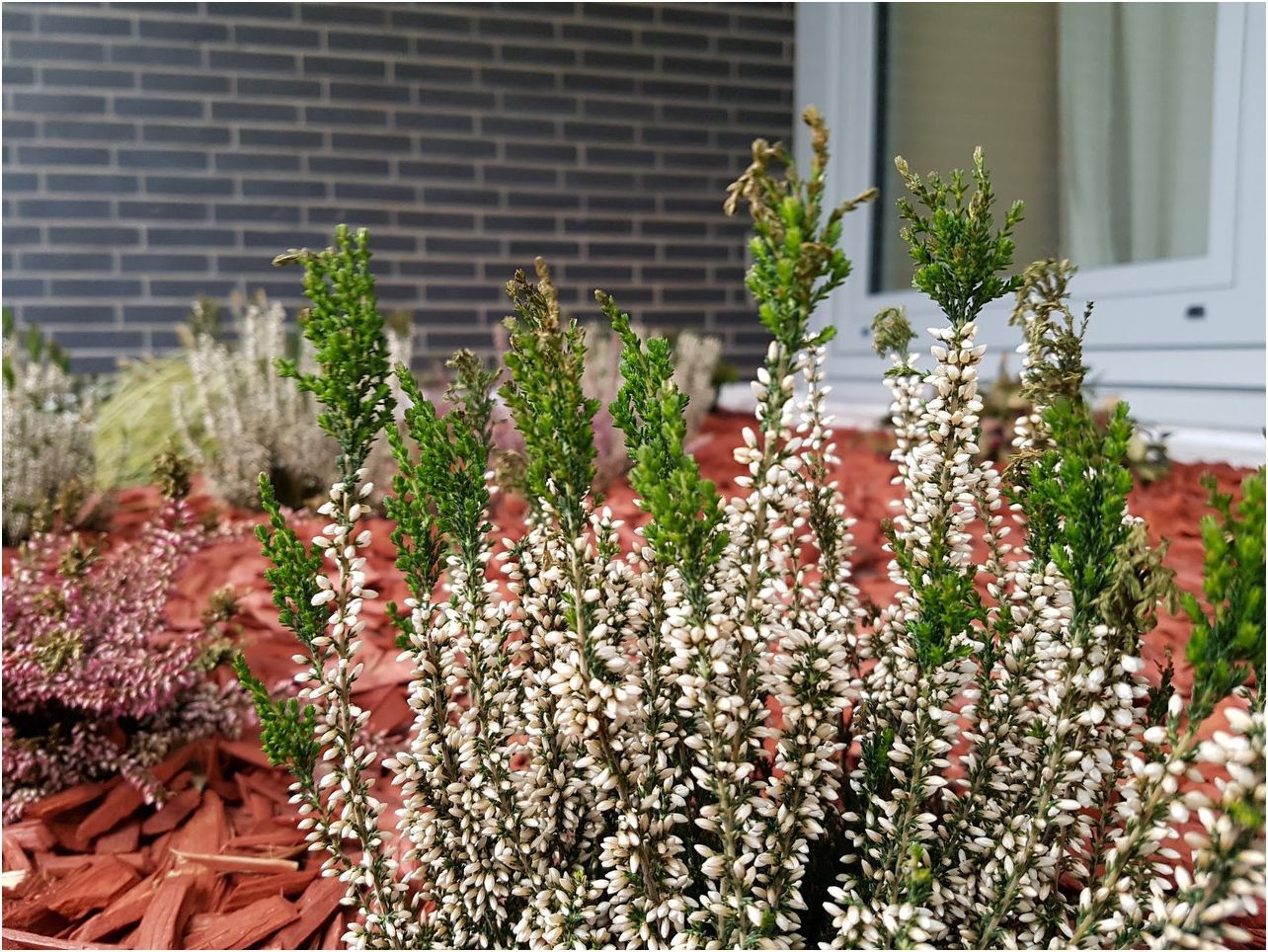 Обзор Samsung Galaxy S7: две недели c флагманом Samsung (обзор, samsung, galaxy, неделя, флагман) Обзор Samsung Galaxy S7: две недели c флагманом Samsung