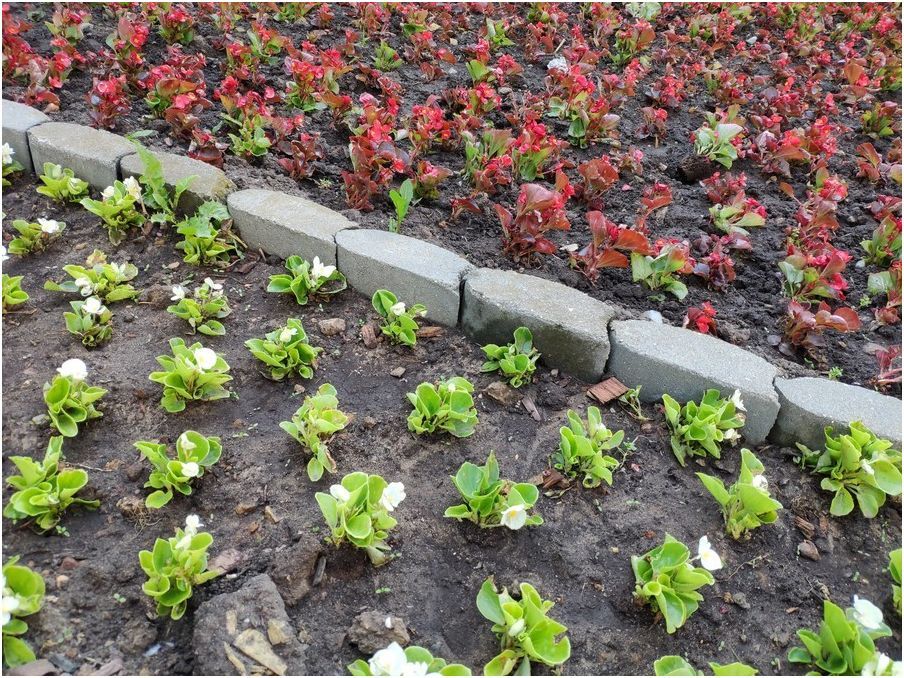 Обзор смартфона Xiaomi Mi Mix 2S: дизайнерский фотофлагман