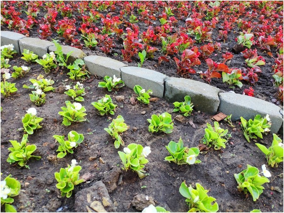 Обзор смартфона Xiaomi Mi Mix 2S: дизайнерский фотофлагман