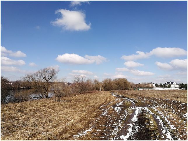 Обзор смартфона Huawei Honor 8 Pro: большой и взрослый