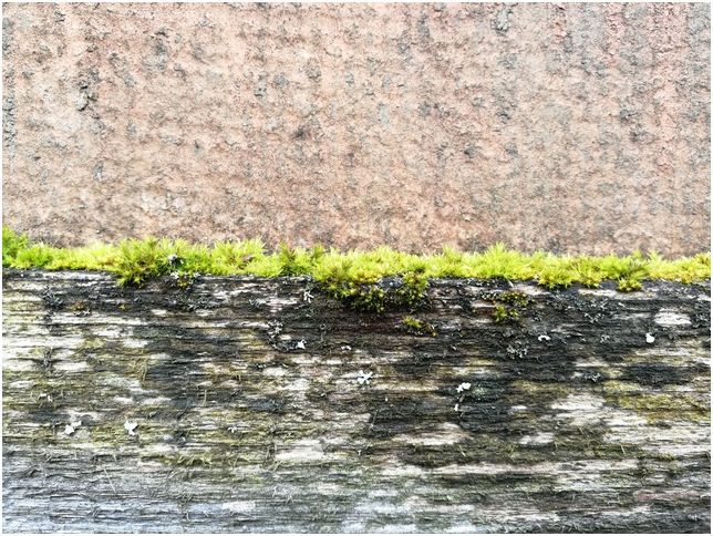 Обзор смартфона Huawei Honor 8 Pro: большой и взрослый