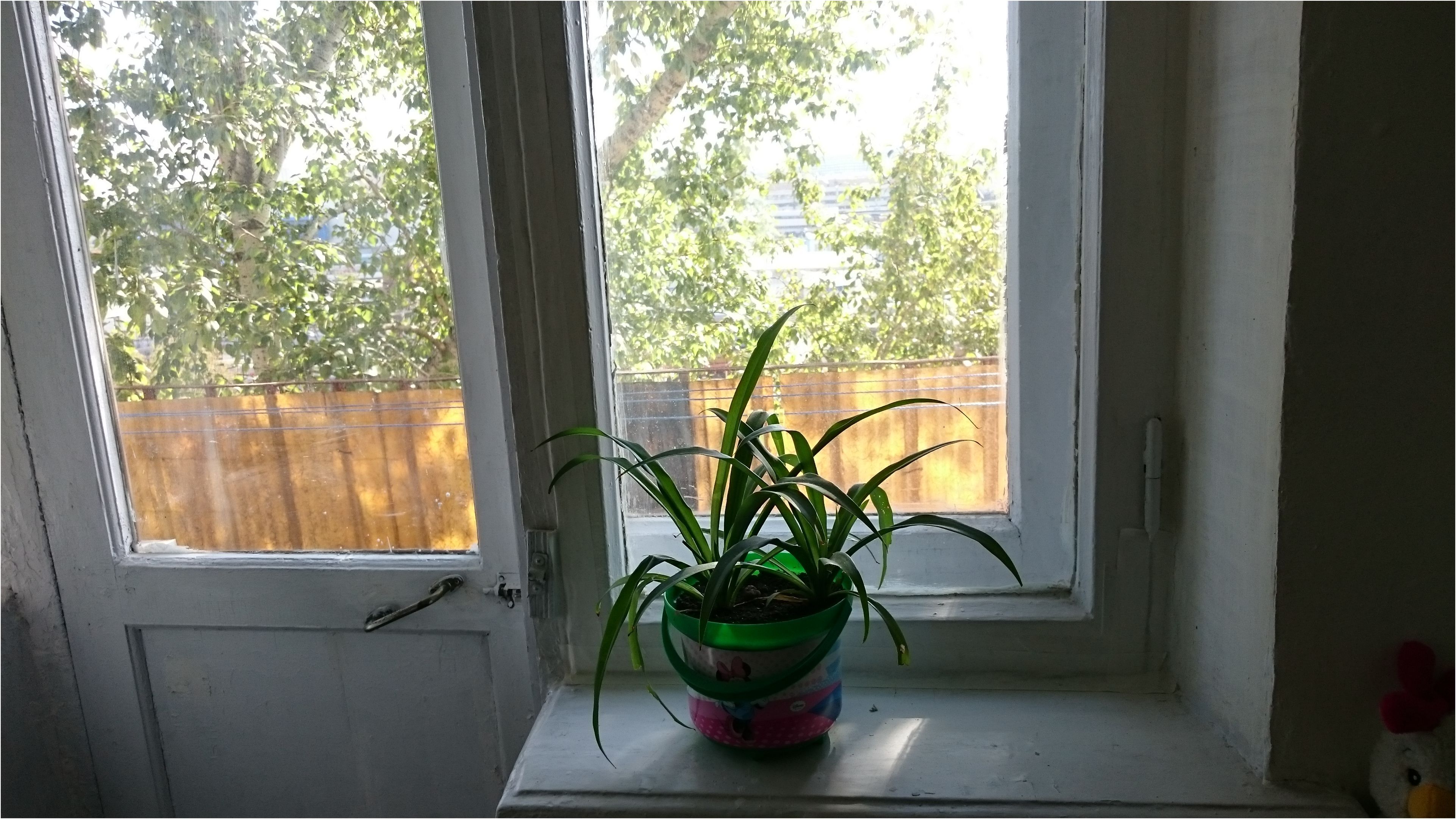 Обзор смартфона Sony Xperia Z3 Compact: монстр в тщедушном теле