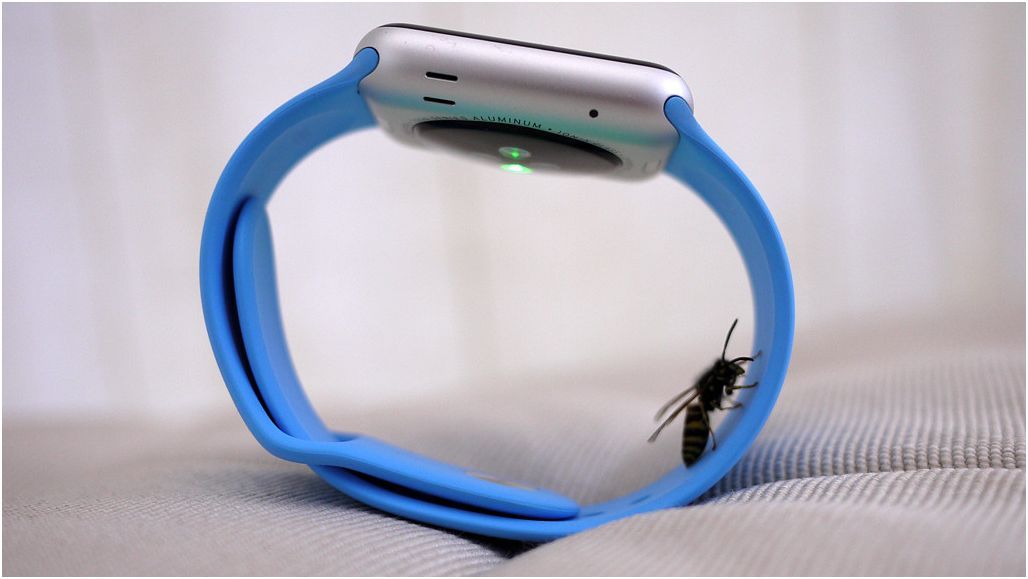 Месяц с Apple Watch: зачем часам "ум"?