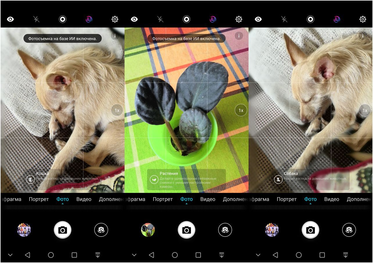 Обзор Honor 10: красавчик с "умными" камерами