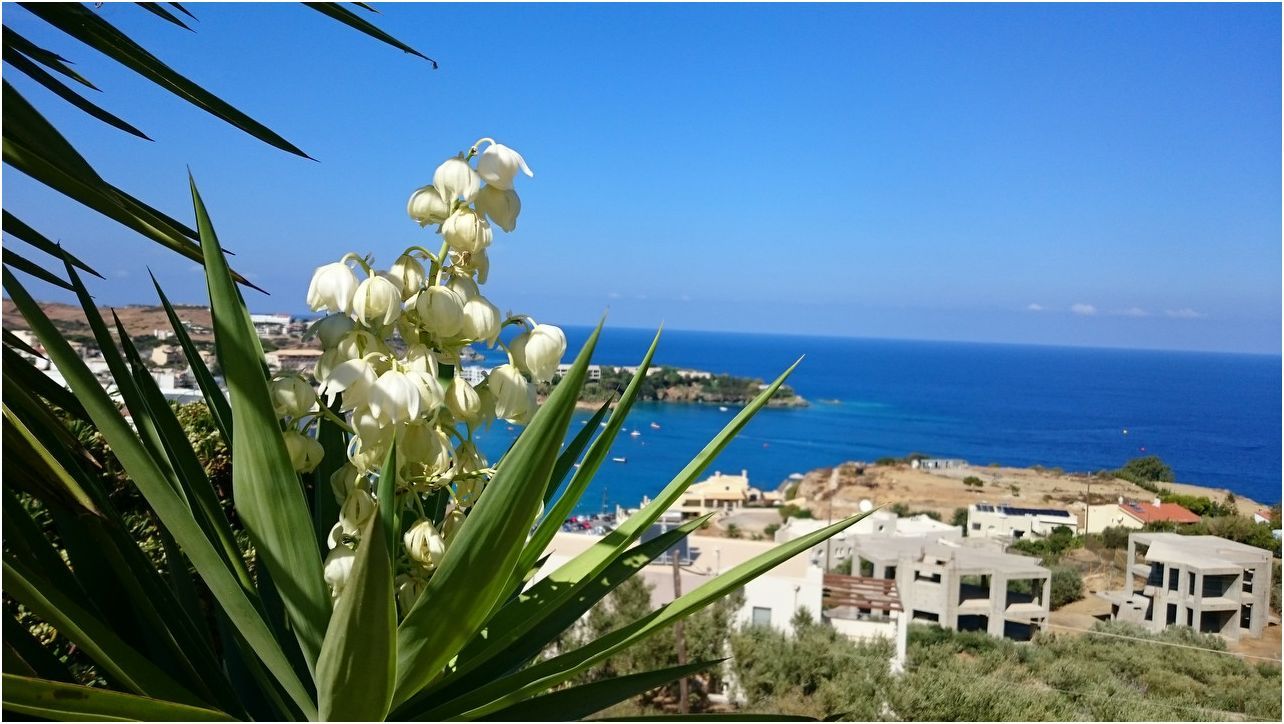 Обзор смартфона Sony Xperia Z3: улучшение улучшенного