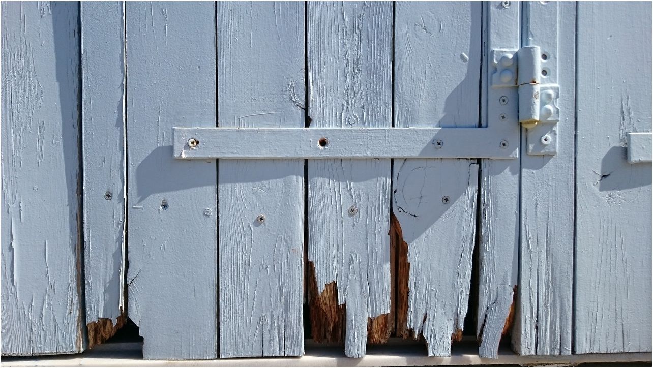 Обзор смартфона Sony Xperia Z3: улучшение улучшенного