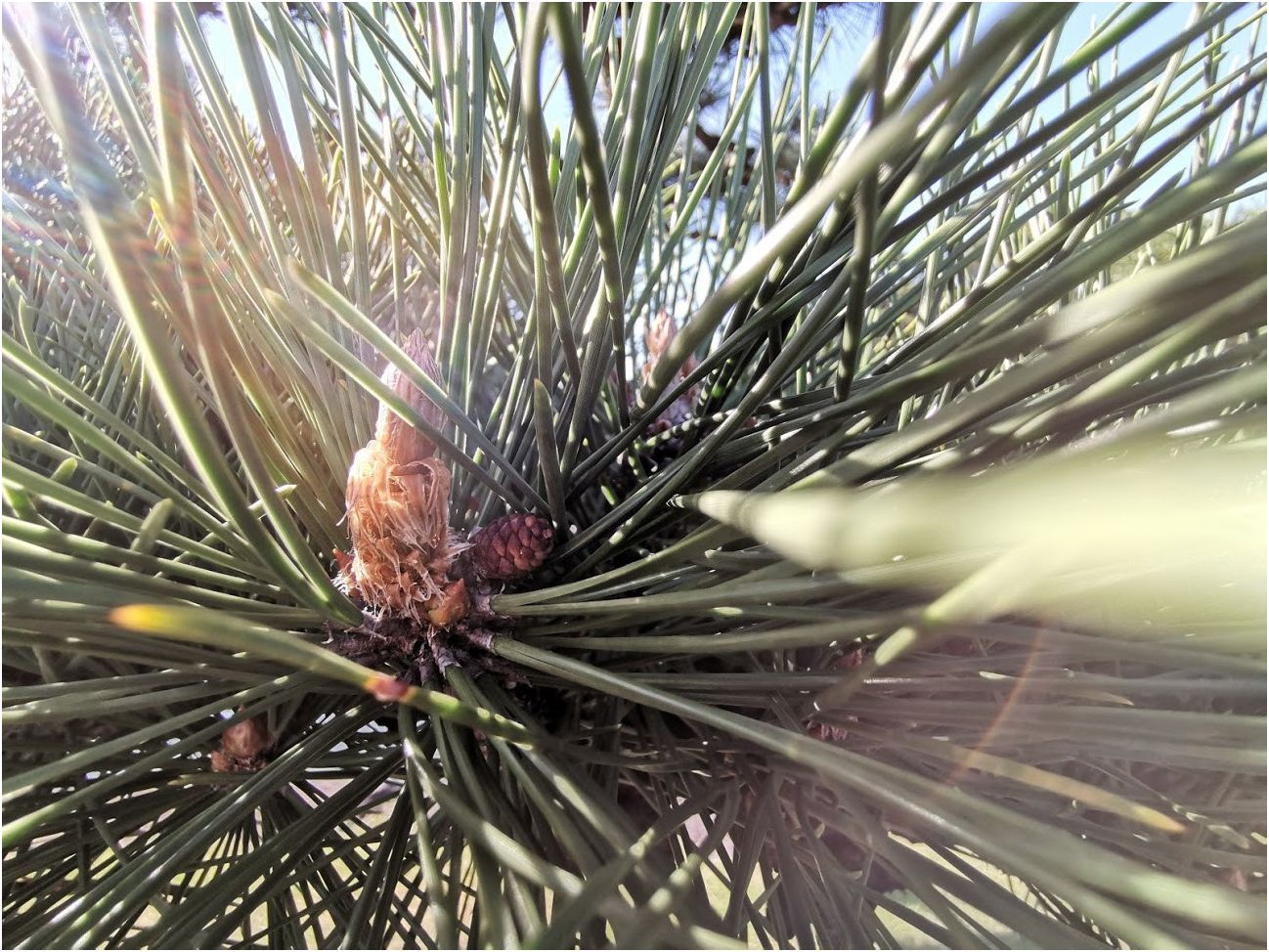 Обзор смартфона Huawei Mate 20 Pro: удобные инновации (обзор, смартфона, huawei, mate, удобный, инновации) Обзор смартфона Huawei Mate 20 Pro: удобные инновации