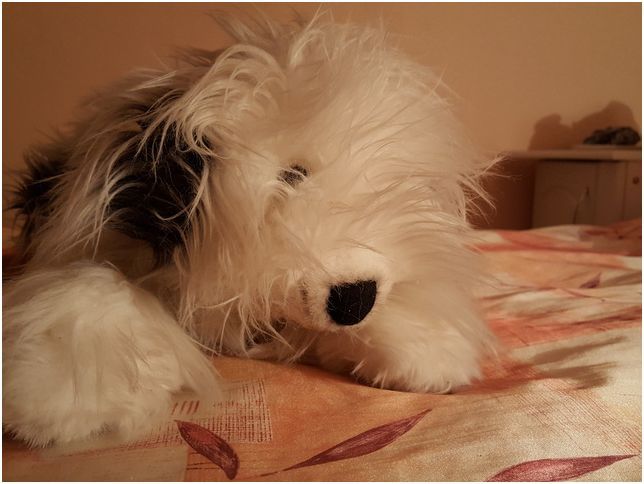 Обзор смартфона Galaxy S6: две недели с флагманом Samsung