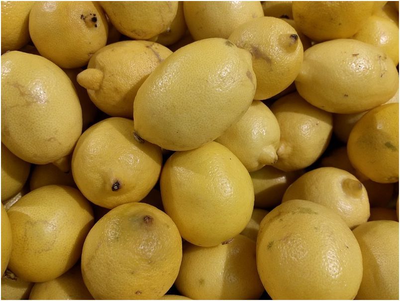 Обзор смартфона Google Nexus 5X: эталон не для всех