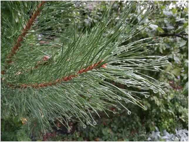 Обзор смартфона Honor 8: бережливая красота (обзор, смартфона, honor, бережливый, красота) Обзор смартфона Honor 8: бережливая красота