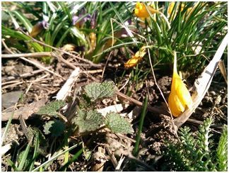 Обзор смартфона HTC One (M8): самый металлический (обзор, смартфона, металлический) Обзор смартфона HTC One (M8): самый металлический