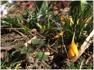 Обзор смартфона HTC One (M8): самый металлический (обзор, смартфона, металлический) Обзор смартфона HTC One (M8): самый металлический