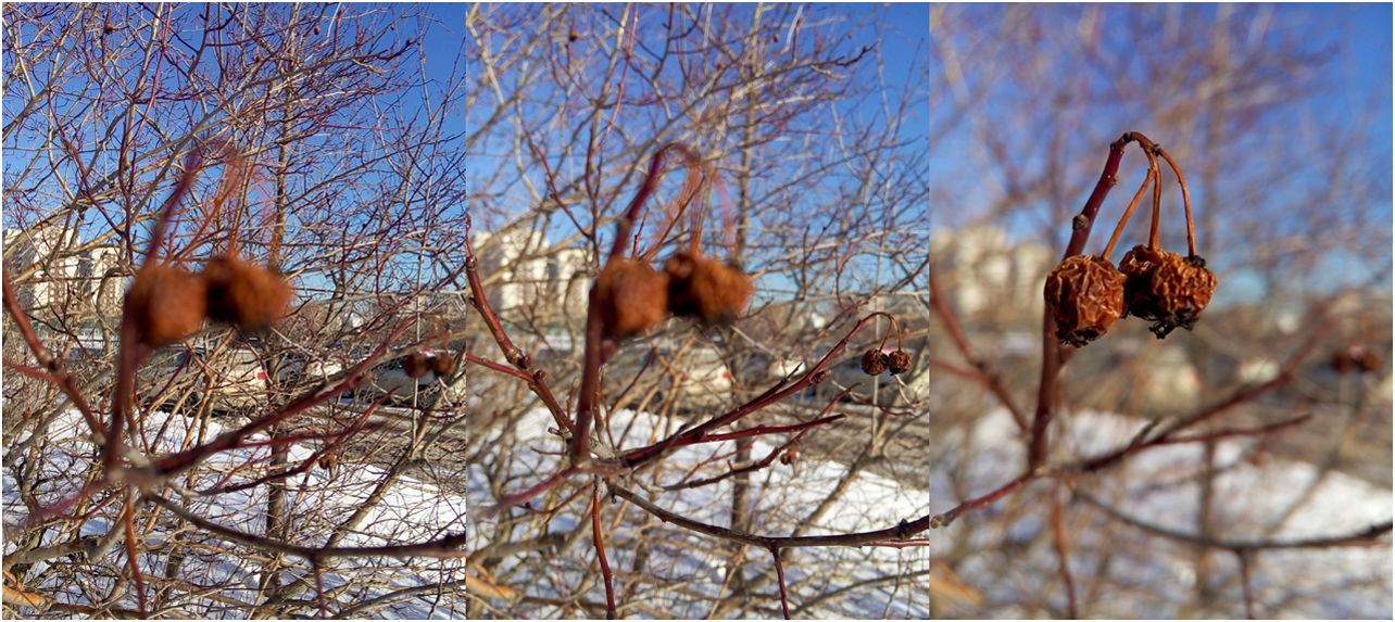 Обзор смартфона Meizu MX4: антикризисный флагман