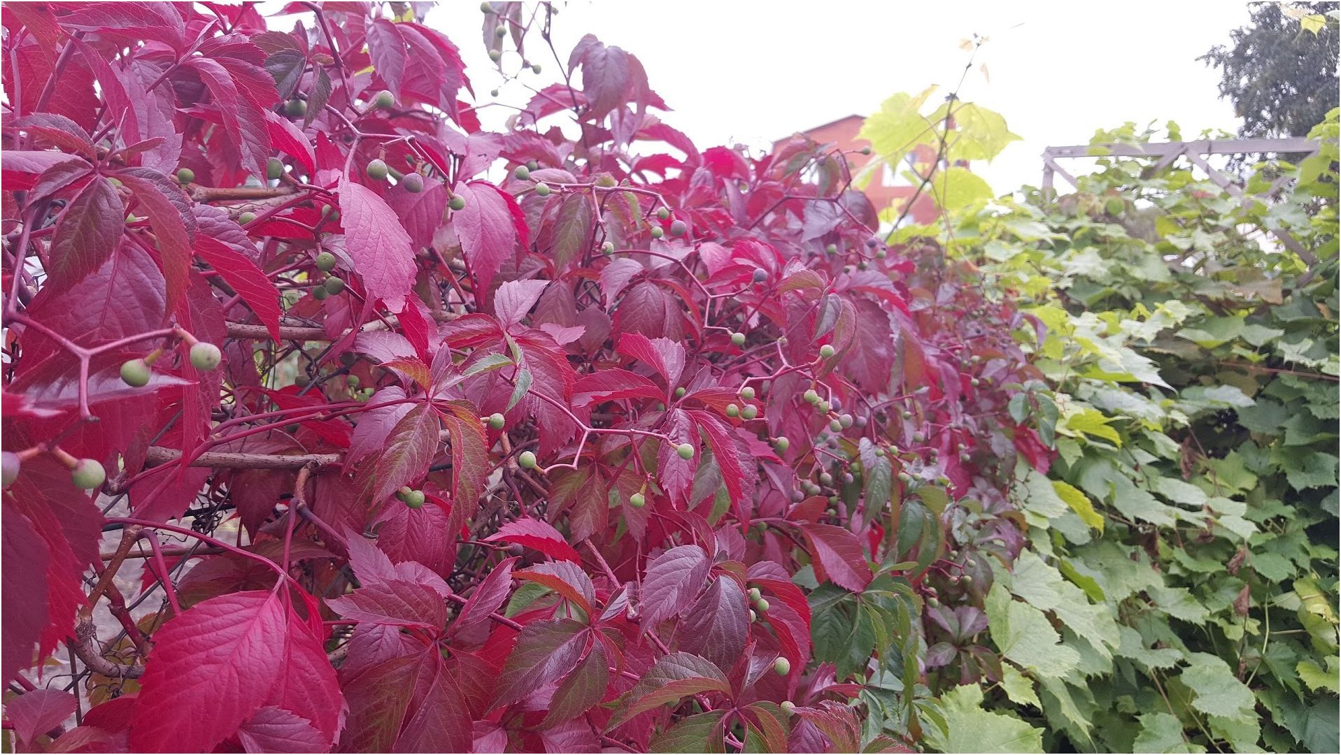 Обзор смартфона Samsung Galaxy S6 Edge+: большой изгиб (обзор, смартфона, samsung, galaxy, edge) Обзор смартфона Samsung Galaxy S6 Edge+: большой изгиб