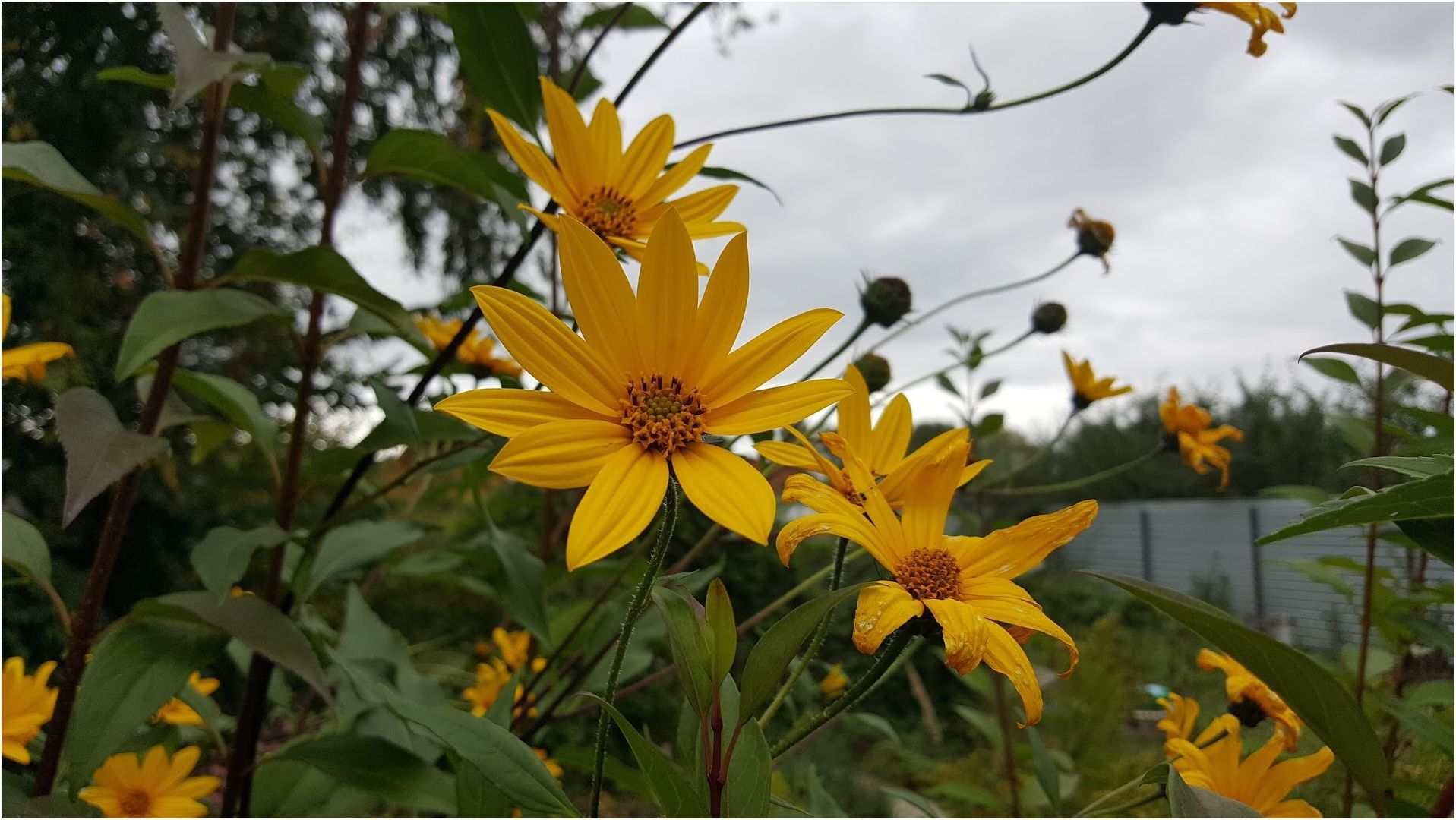 Обзор смартфона Samsung Galaxy S6 Edge+: большой изгиб (обзор, смартфона, samsung, galaxy, edge) Обзор смартфона Samsung Galaxy S6 Edge+: большой изгиб