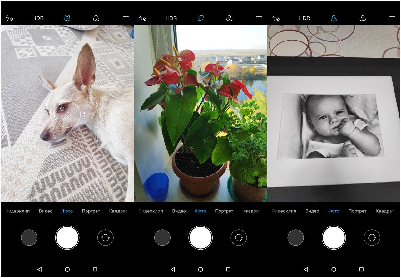 Обзор смартфона Xiaomi Pocophone F1: для практичных геймеров