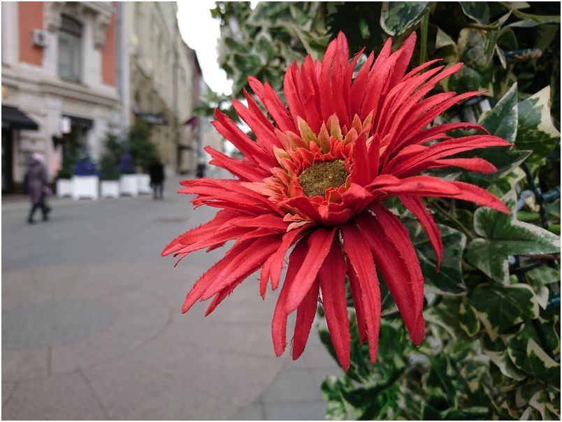 Обзор смартфона Sony Xperia XZ: флагман по-японски