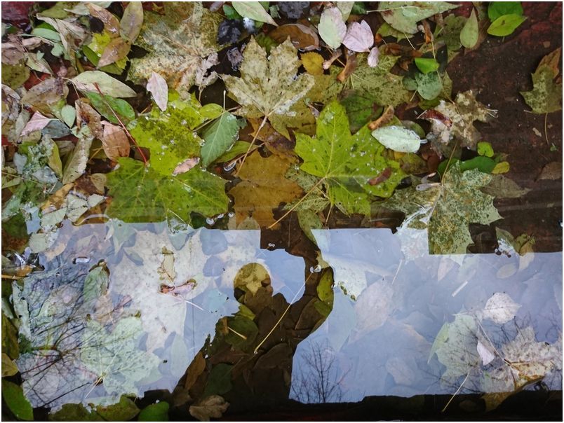 Обзор смартфона Sony Xperia XZ: флагман по-японски