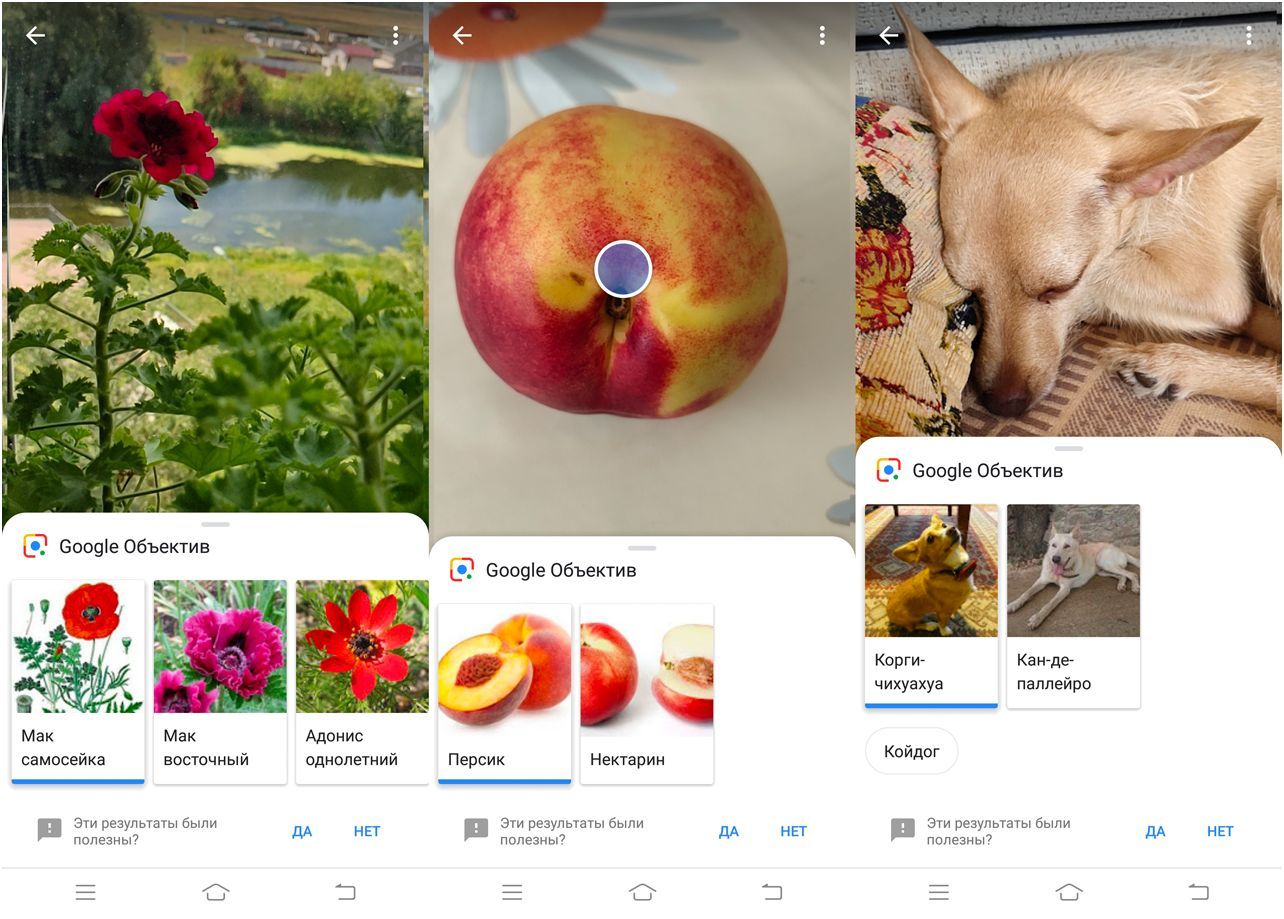 Обзор смартфона Vivo Nex: ни рамок, ни "чёлки"