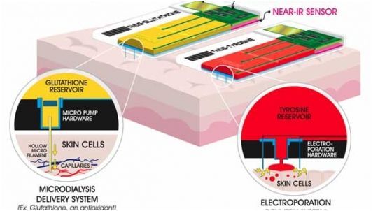 Паштет из опарыша и пищевые пластыри: чем нам придется питаться в будущем