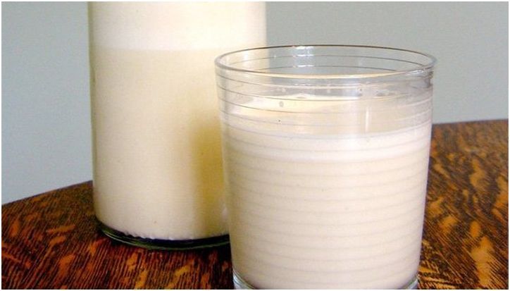 Паштет из опарыша и пищевые пластыри: чем нам придется питаться в будущем