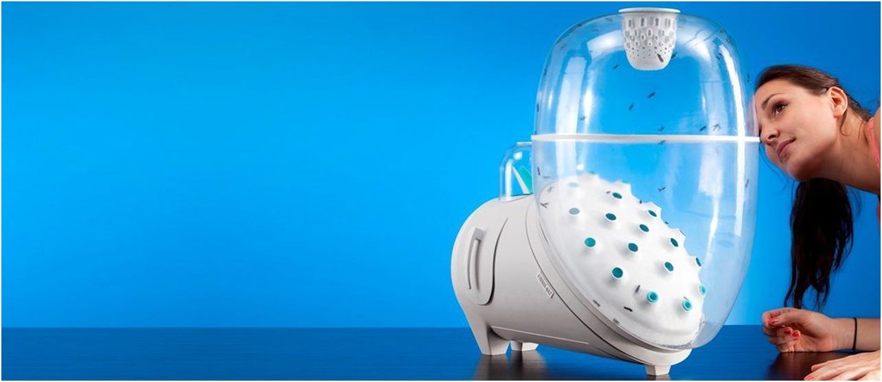 Паштет из опарыша и пищевые пластыри: чем нам придется питаться в будущем