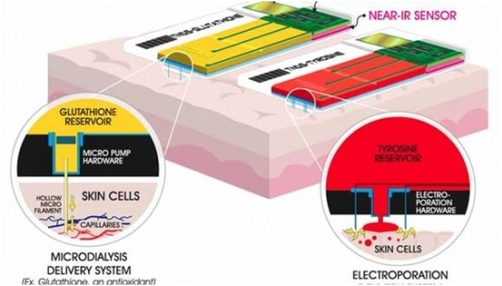 Паштет из опарыша и пищевые пластыри: чем нам придется питаться в будущем