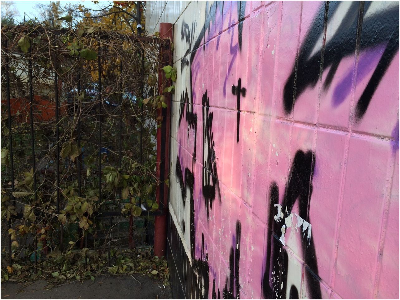 Покупка iPhone 5S: за и против