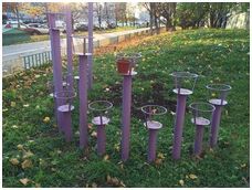 Покупка iPhone 5S: за и против