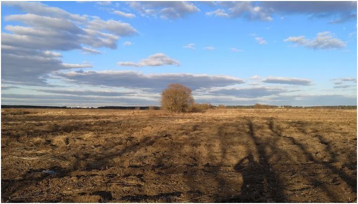 Фототест Huawei P20 Pro: что умеет смартфон с тройной камерой