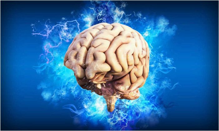 Согласно исследованию, наш мозг — это постоянная машина предсказаний