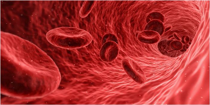 Исследование впервые выявило наличие микропластика в крови человека