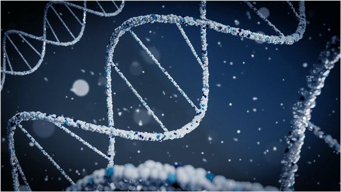COVID-19: древняя генетическая мутация защищает от тяжелых форм заболевания