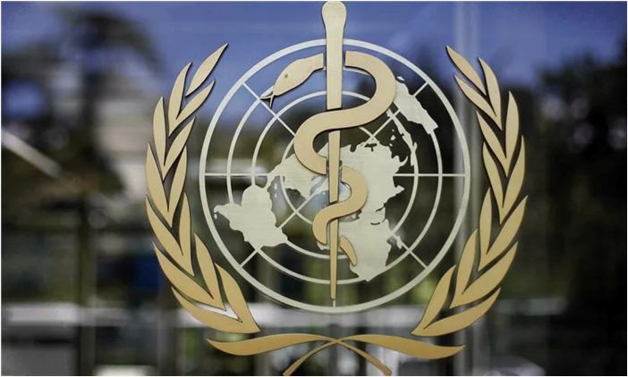 Оспа обезьян: ВОЗ объявляет эпидемию глобальной чрезвычайной ситуацией в области общественного здравоохранения